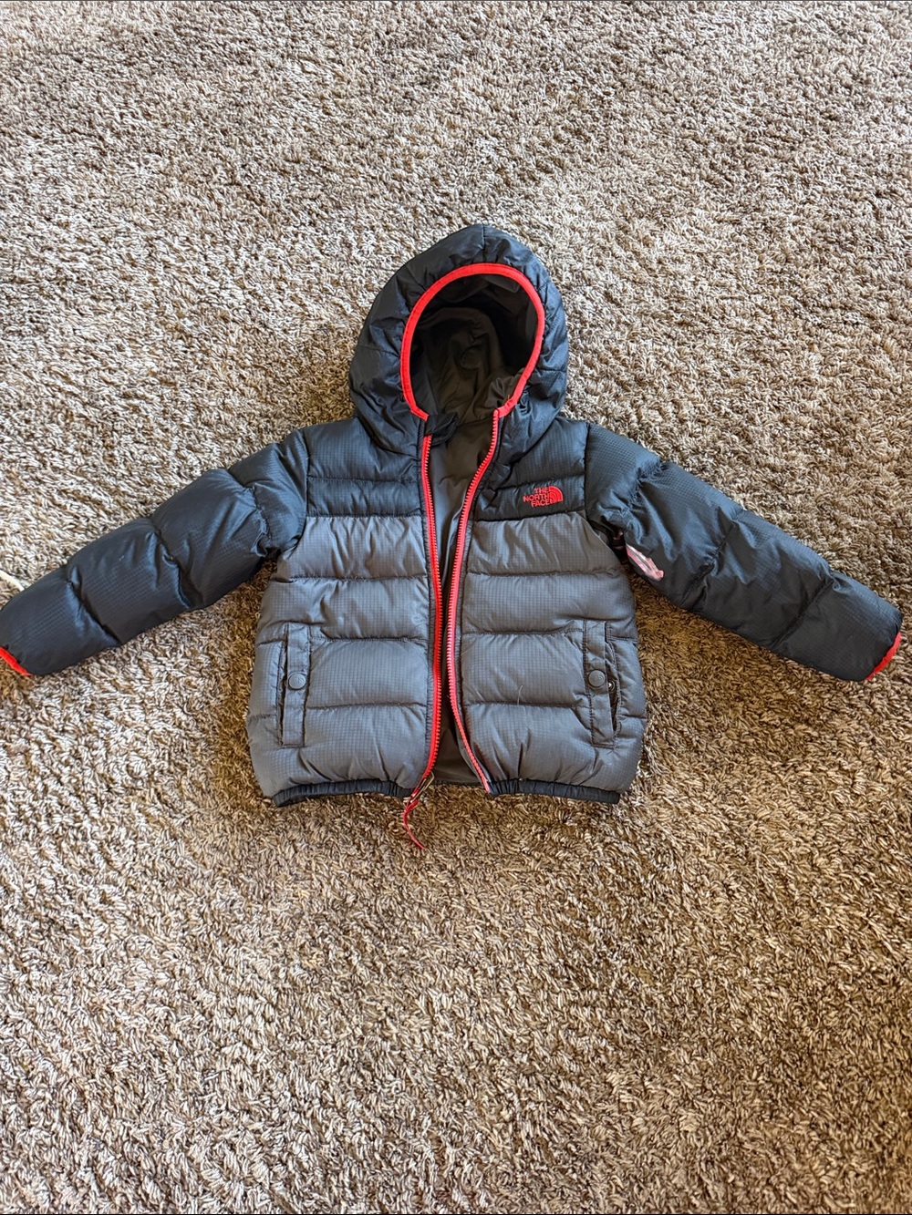 The North Face Kids Hooded Puffer Jacket in Gray with Red Trim